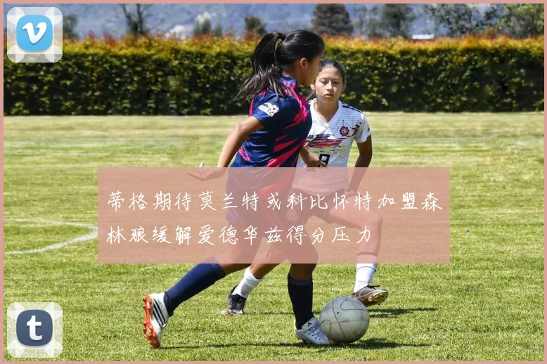 蒂格期待莫兰特或科比怀特加盟森林狼缓解爱德华兹得分压力